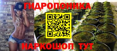 альфа пвп Краснодар