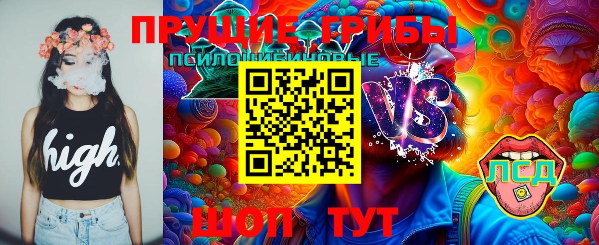 Псилоцибиновые грибы Psilocybine cubensis Добрянка
